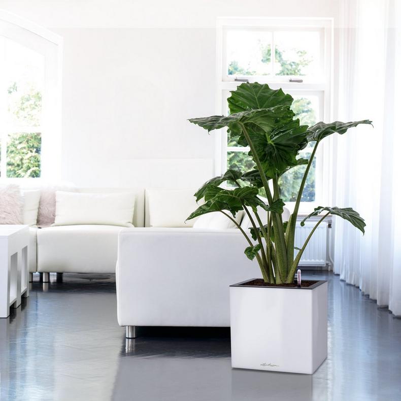 le_canto-wuerfel40_product_addi_01
