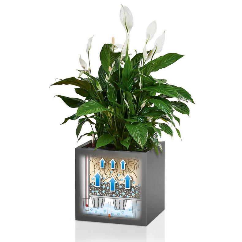 le_canto-wuerfel_product_addi_sws