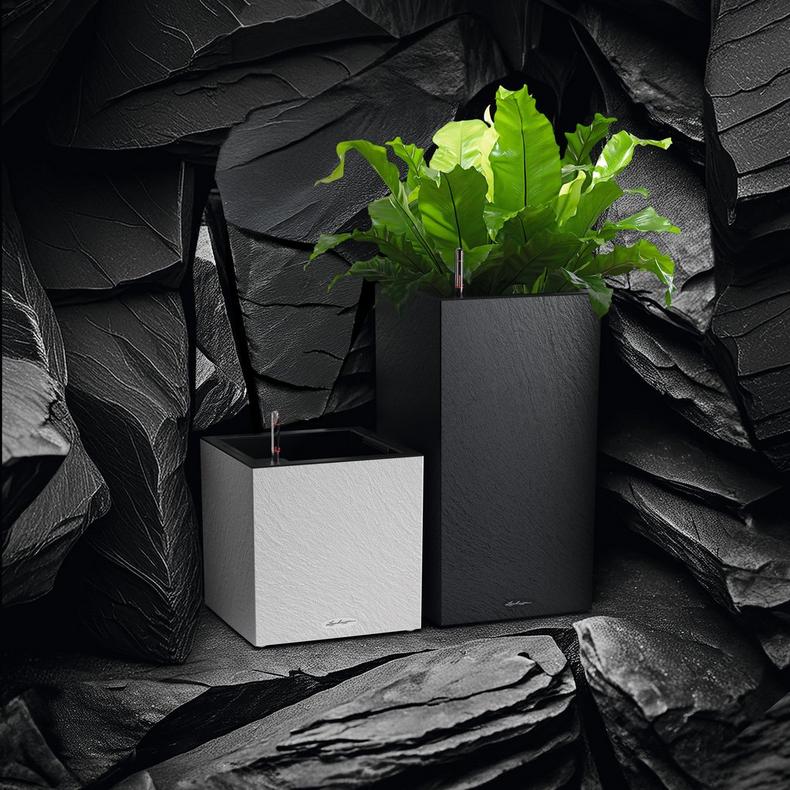 le_canto_slatestone_add04