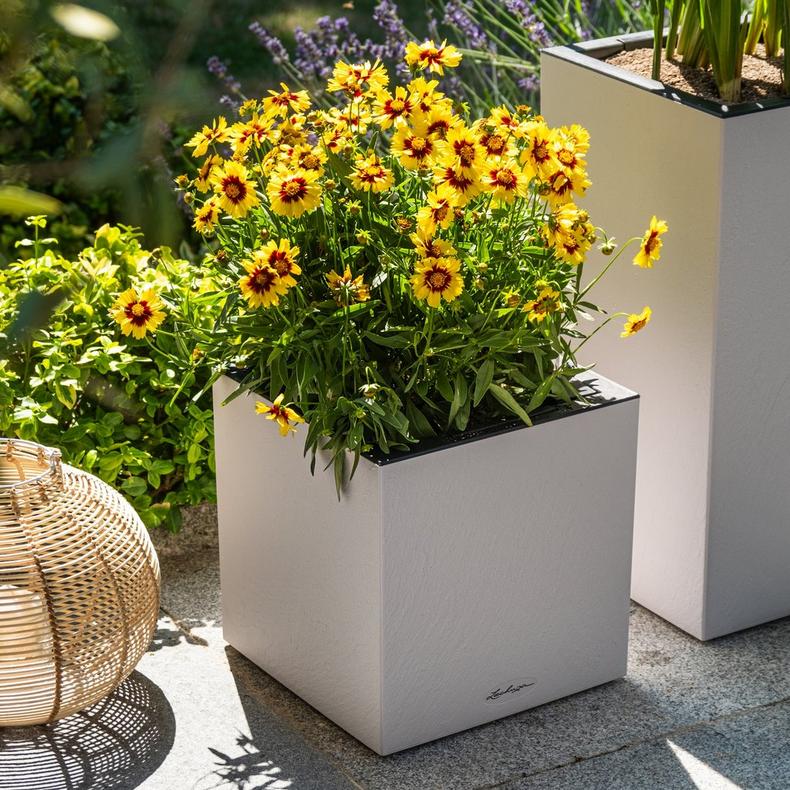 le_canto_slatestone_add06