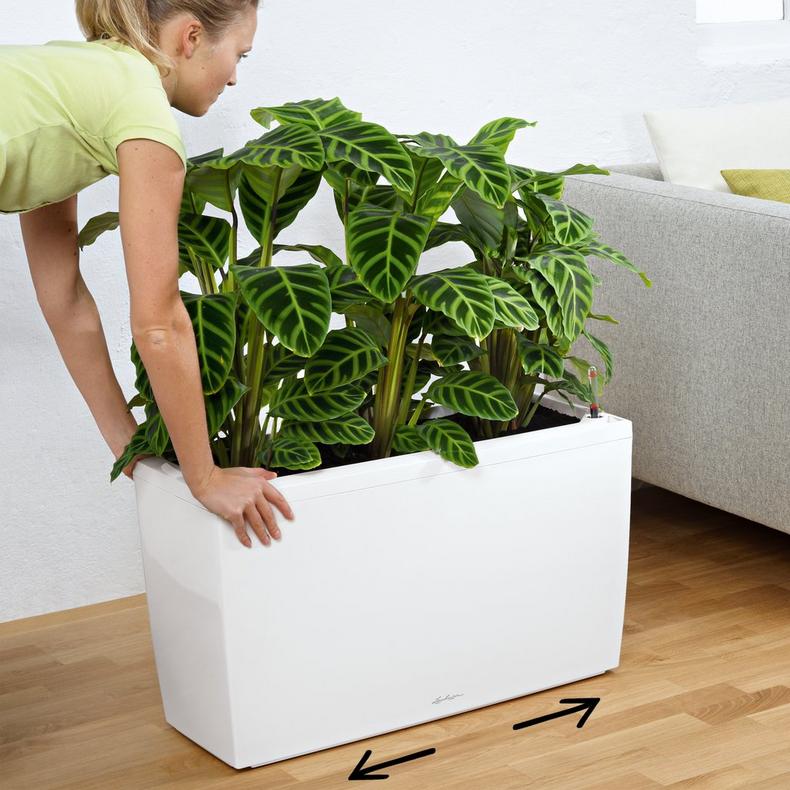 le_cararo_product_addi_coaster