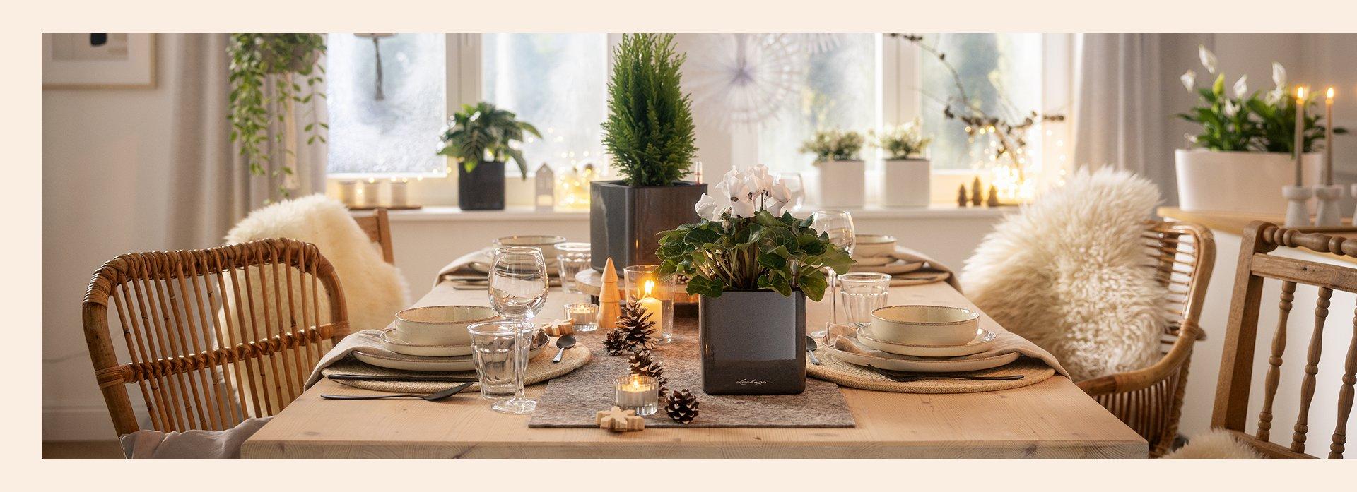 Bezaubernd schlichte Weihnachtsdeko