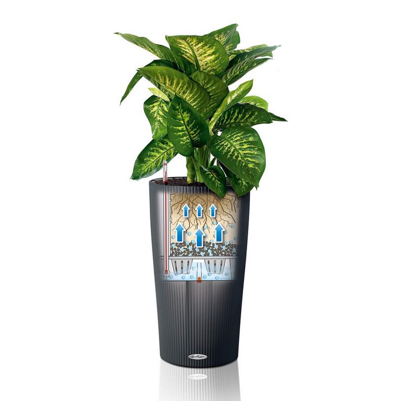 le_cilindro-color_product_addi_sws