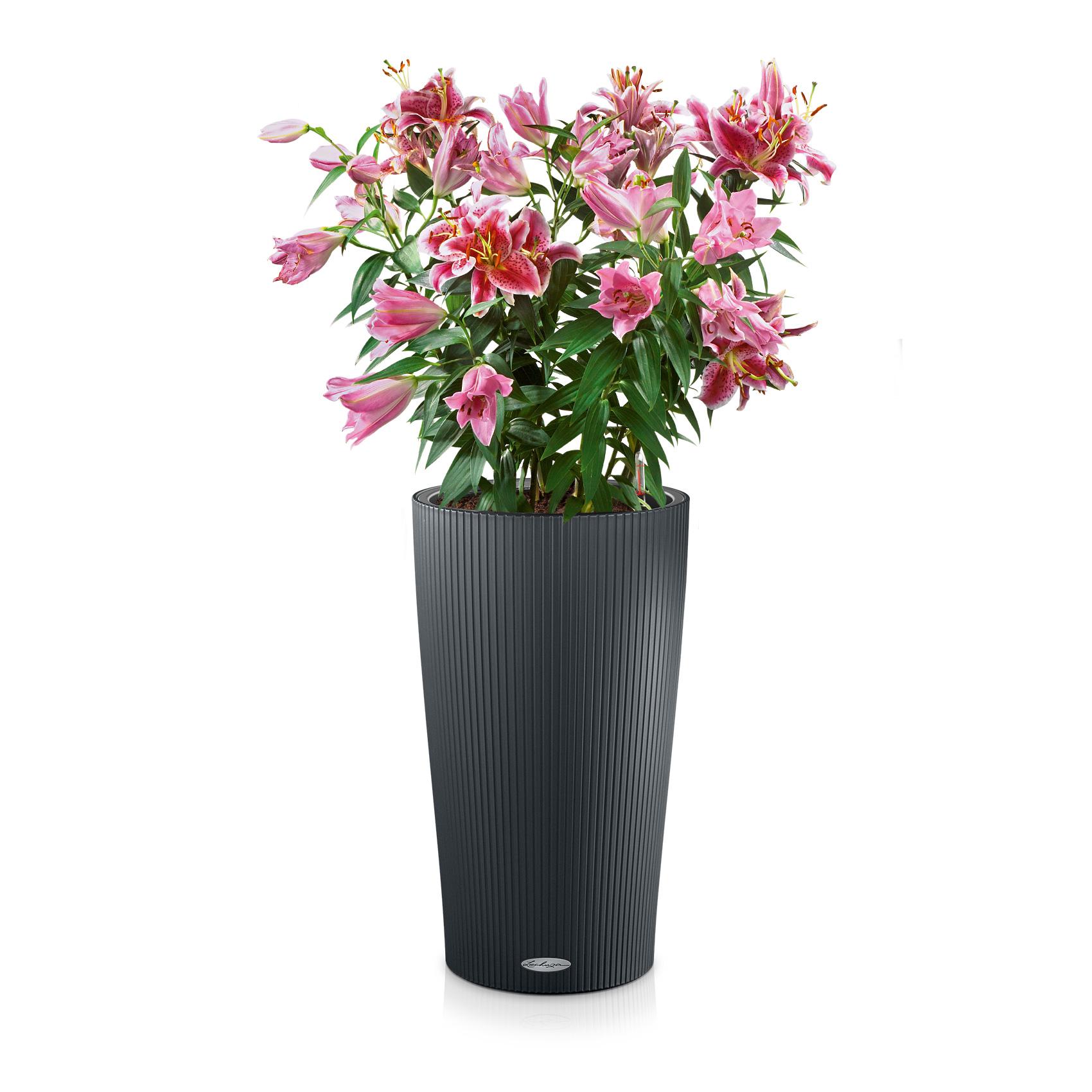 CILINDRO Color 32 slate
