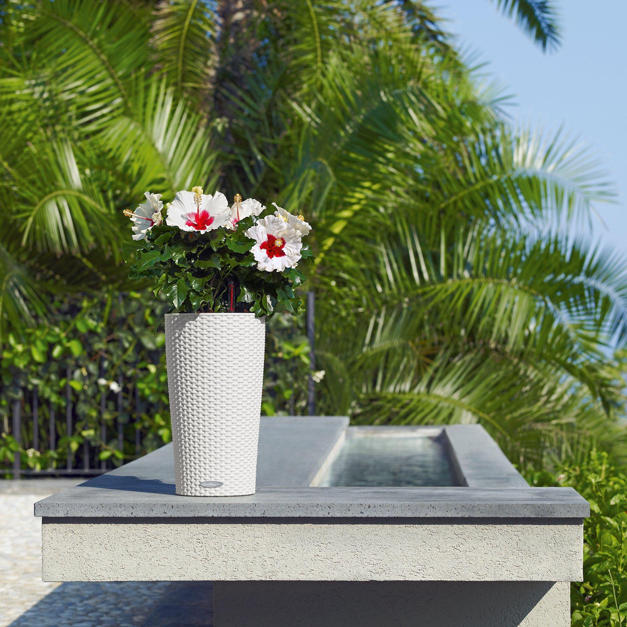 le_cilindro-cottage23_product_addi_01