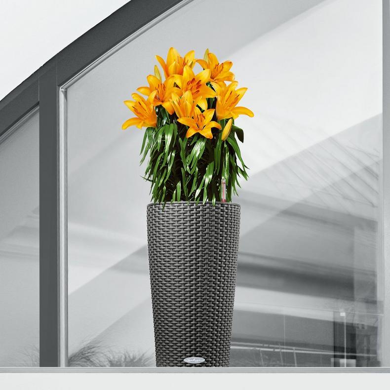 le_cilindro-cottage23_product_addi_02