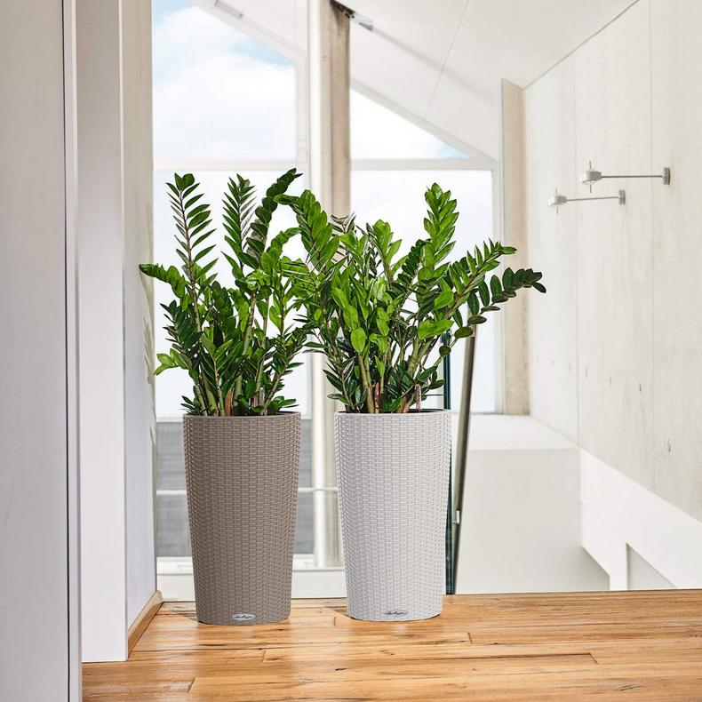 le_cilindro-cottage32_product_addi_01