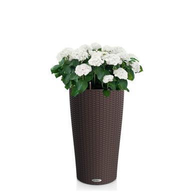 CILINDRO Cottage 23 mokka