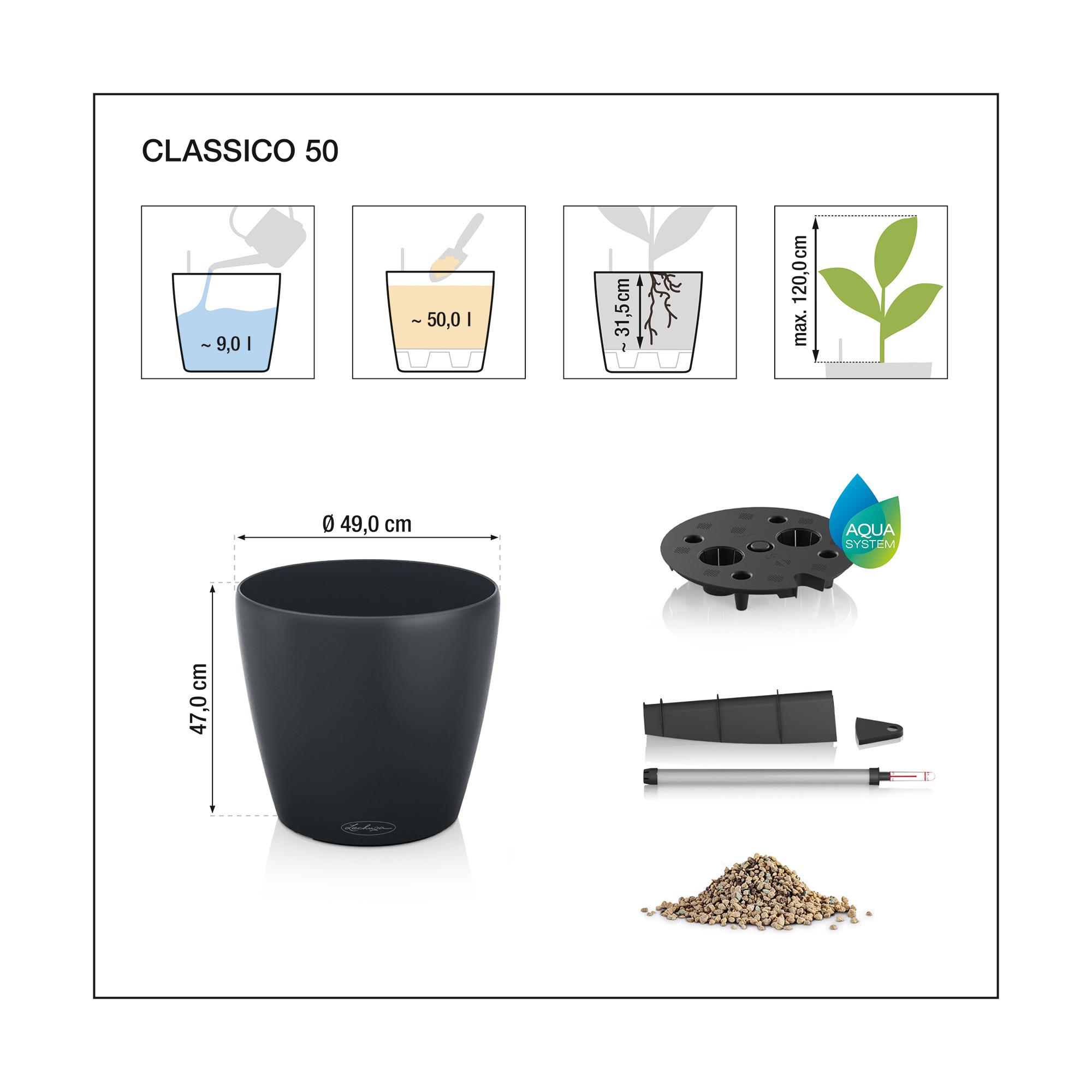 le_classico-color50_product_addi_nz