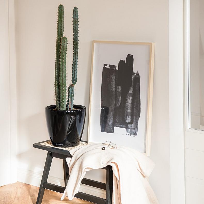 le_classico-ls35_product_addi_05