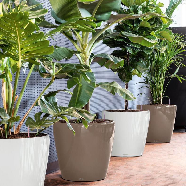 le_classico70_product_addi_04