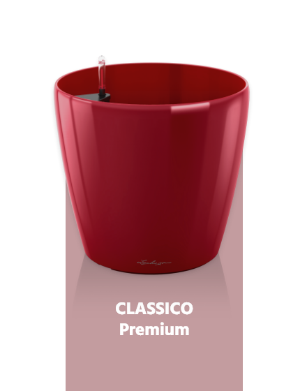 Lechuza CLASSICO Premium