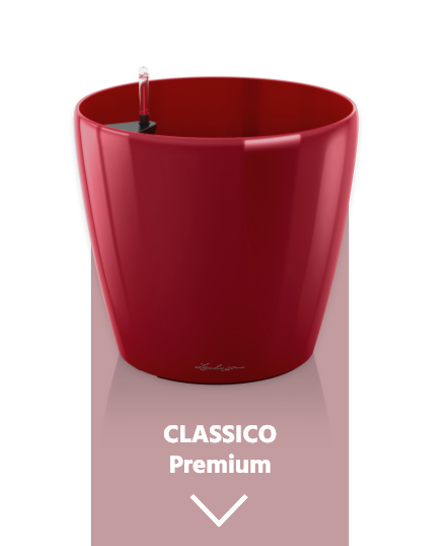 LECHUZA CLASSICO Premium