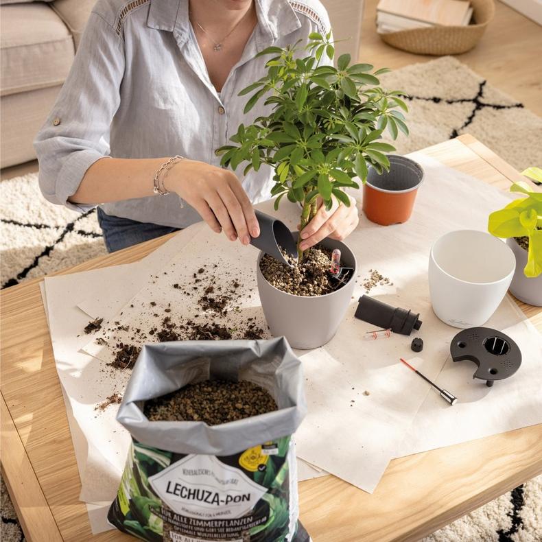 le_classico_color_2025_add02