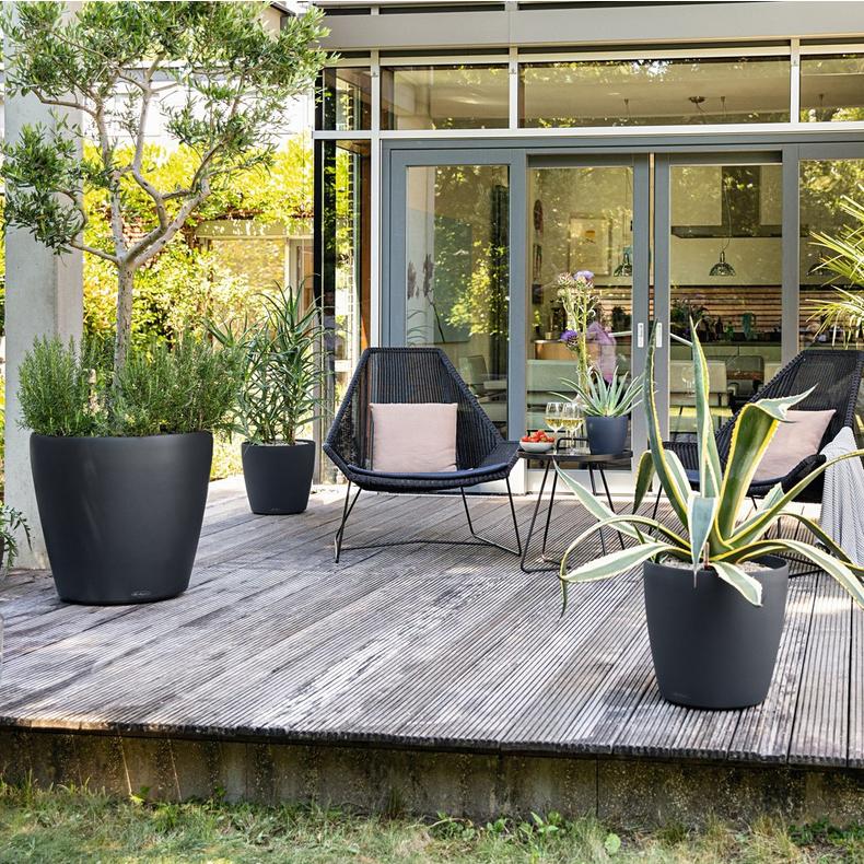 le_classico_color_big_2025_add02