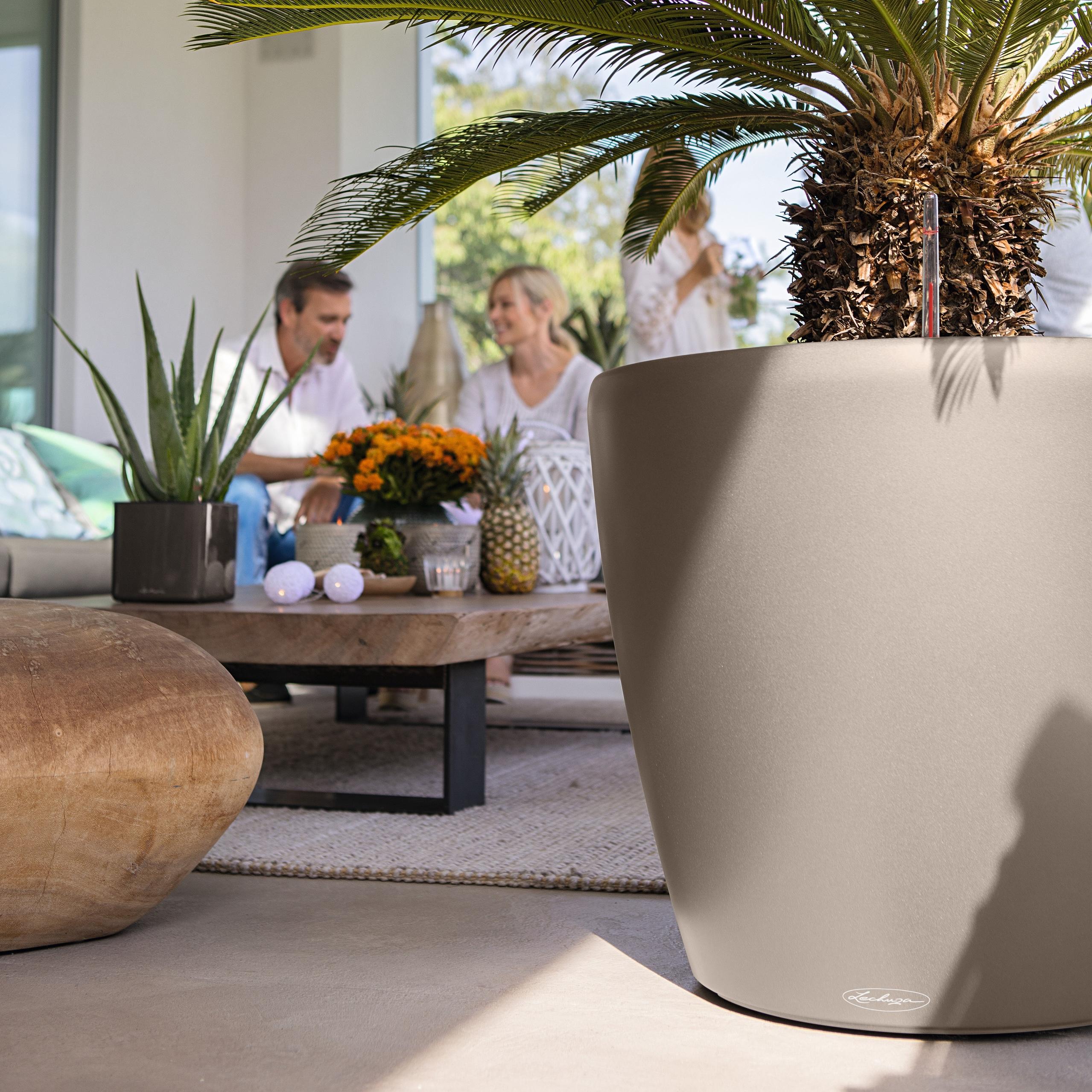 le_classico_color_big_2025_add03