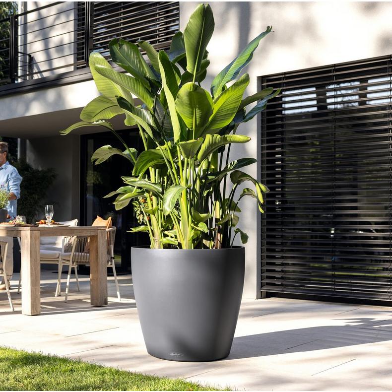 le_classico_color_big_2025_add05