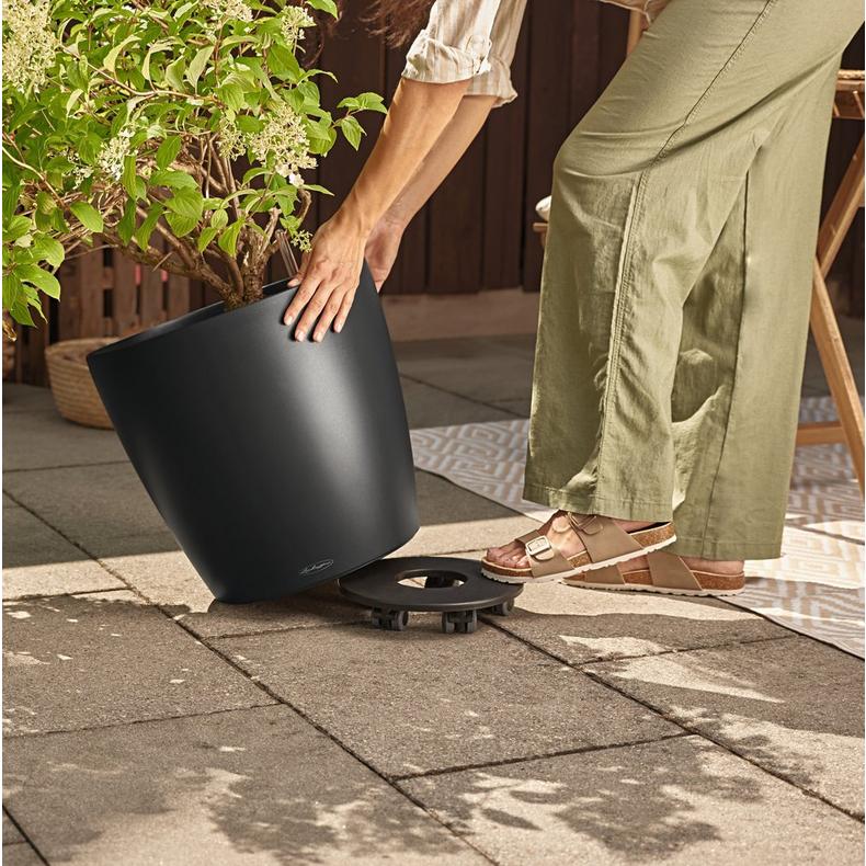 le_classico_color_big_2025_add06