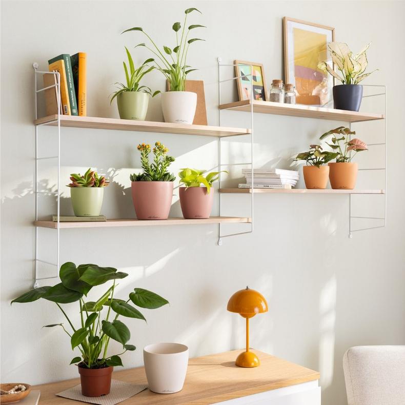 le_classico_color_deco_add04