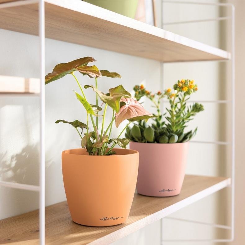 le_classico_color_deco_add06