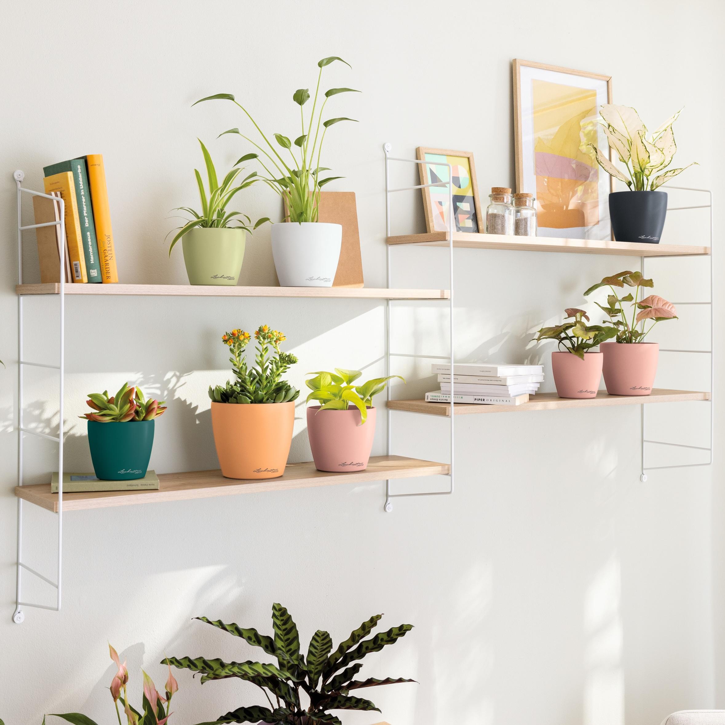 le_classico_color_deco_add09