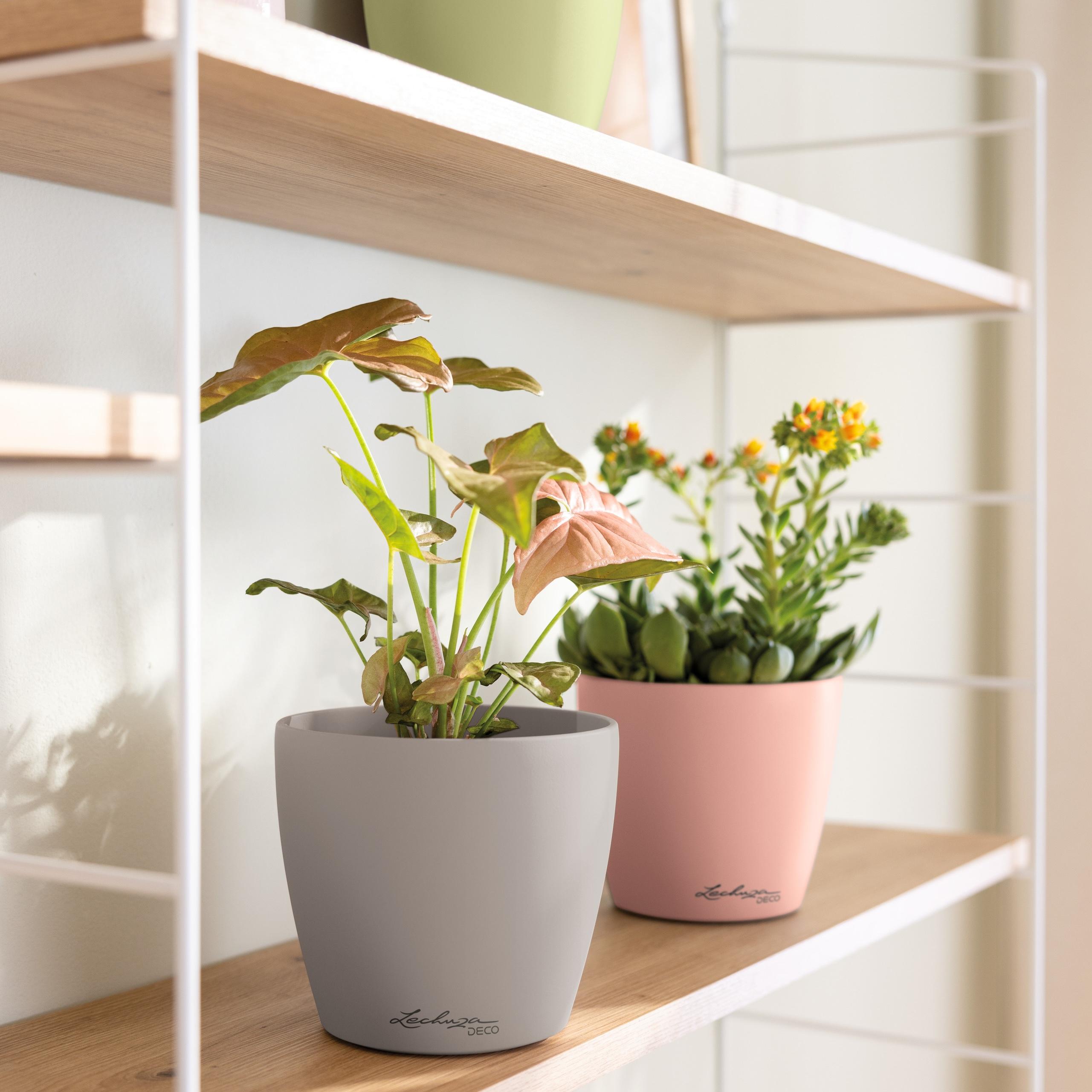 le_classico_color_deco_add12