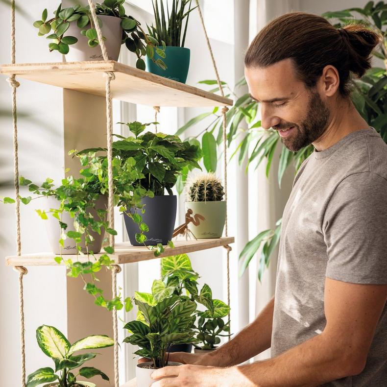 le_classico_color_deco_add14