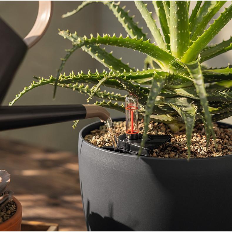 le_classico_color_small_2025_add01