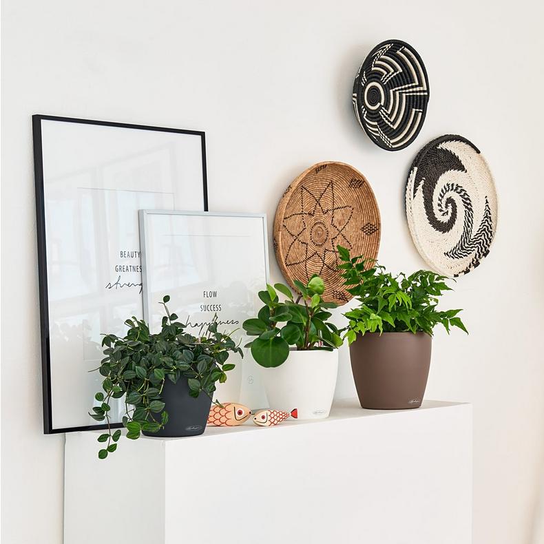 le_classico_color_small_2025_add02