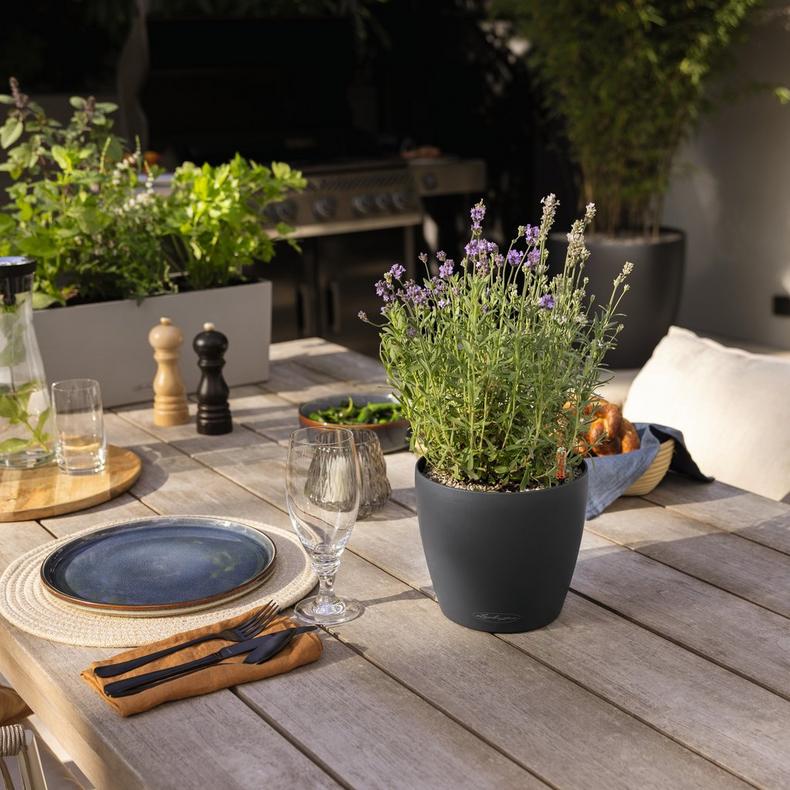 le_classico_color_small_2025_add03