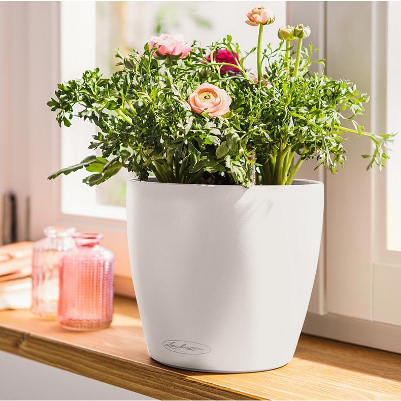 le_classico_color_small_2025_add04