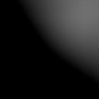cat schwarz highgloss