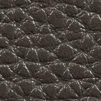 &Epsilon;&pi;&iota;&lambda;έ&xi;&tau;&epsilon; &Chi;&rho;ώ&mu;&alpha;: anthracite
