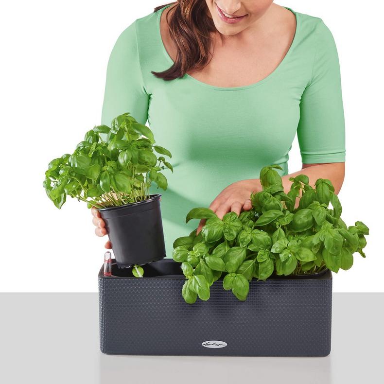 le_cube-color-triple_product_addi_07