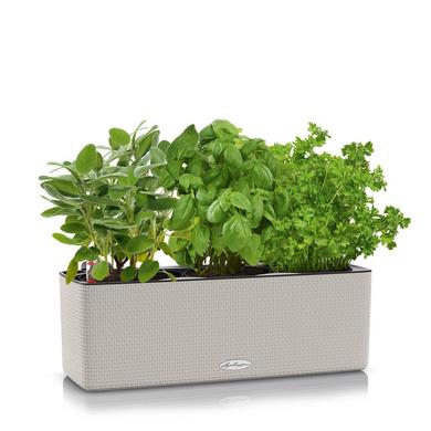 CUBE Color Triple sandbraun