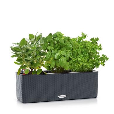 CUBE Color Triple schiefergrau