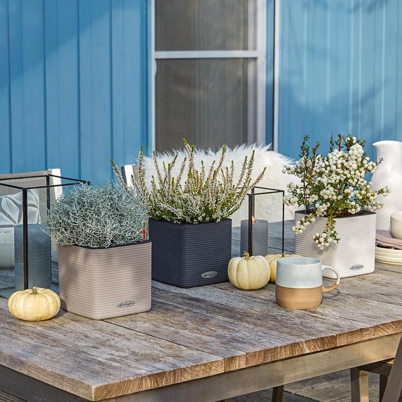 le_cube-color14_product_addi_01