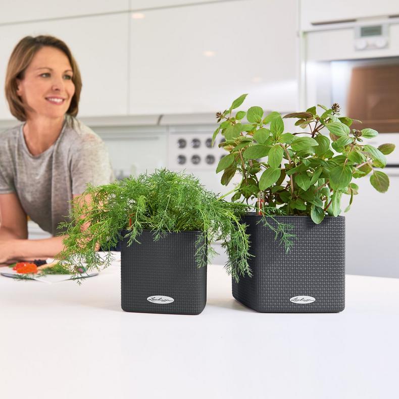 le_cube-color_product_addi_01