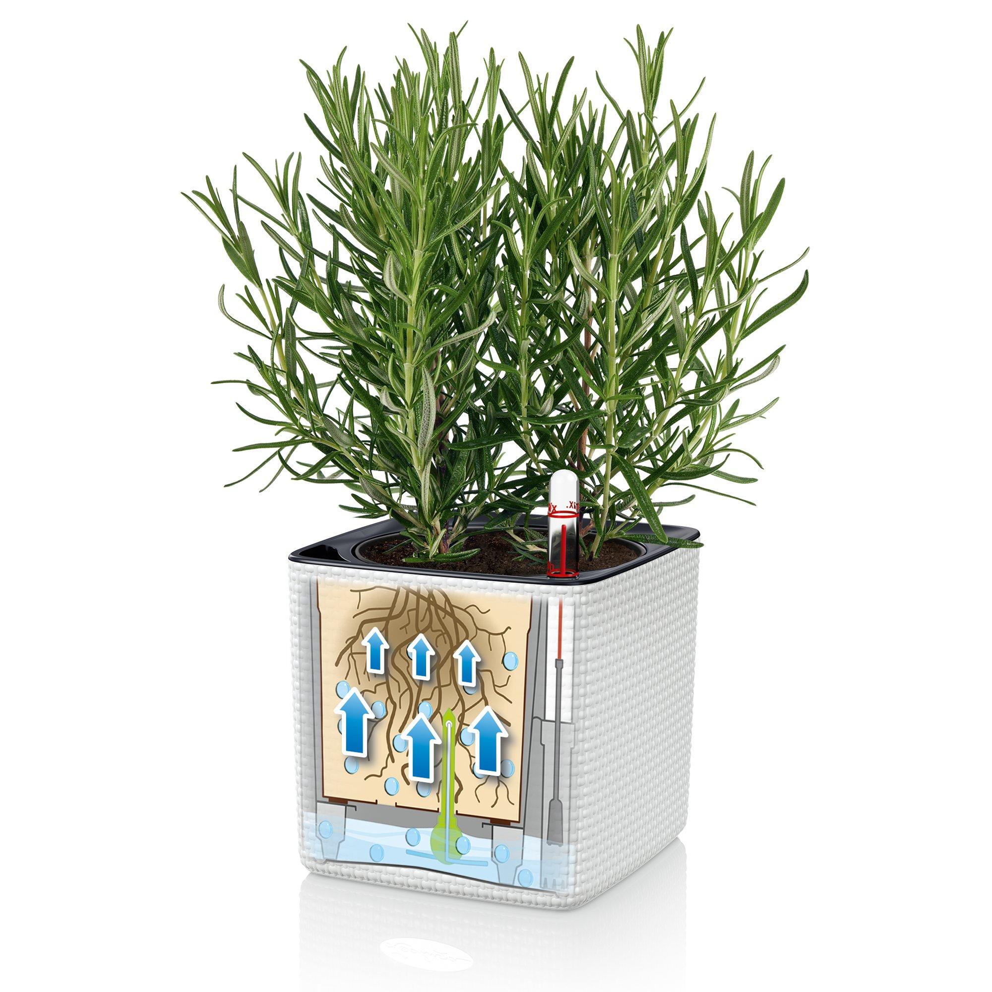 le_cube-color_product_addi_sws