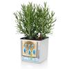 Green Wall Home Kit Color white additional thumb 6