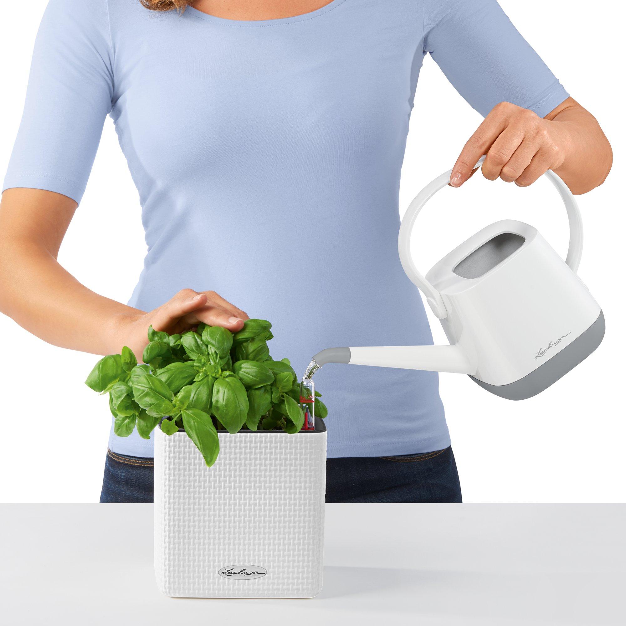 le_cube-color_product_addi_watering