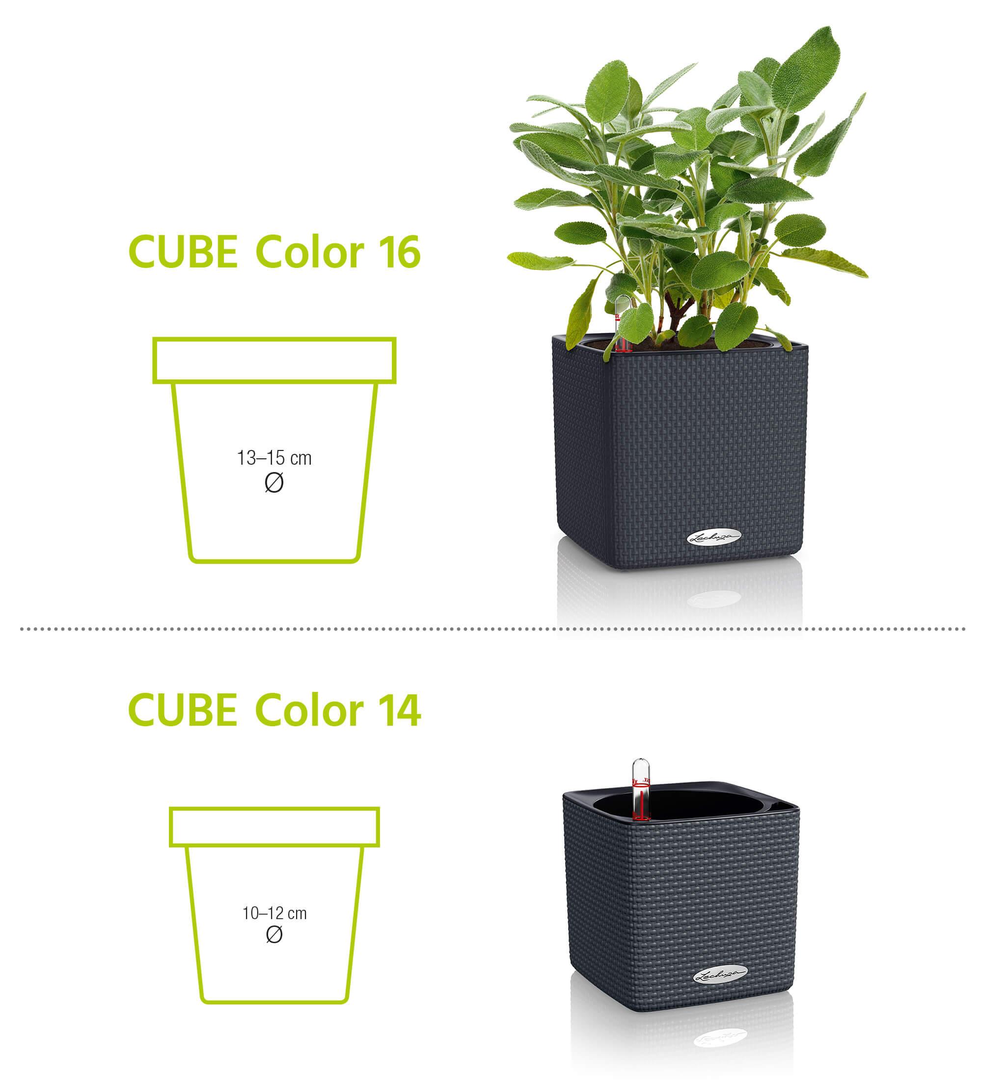 le_cube-color_product_content_02