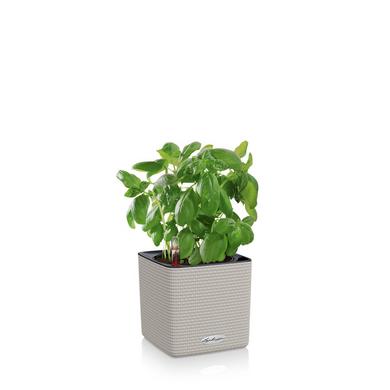 CUBE Color 14 brun sable