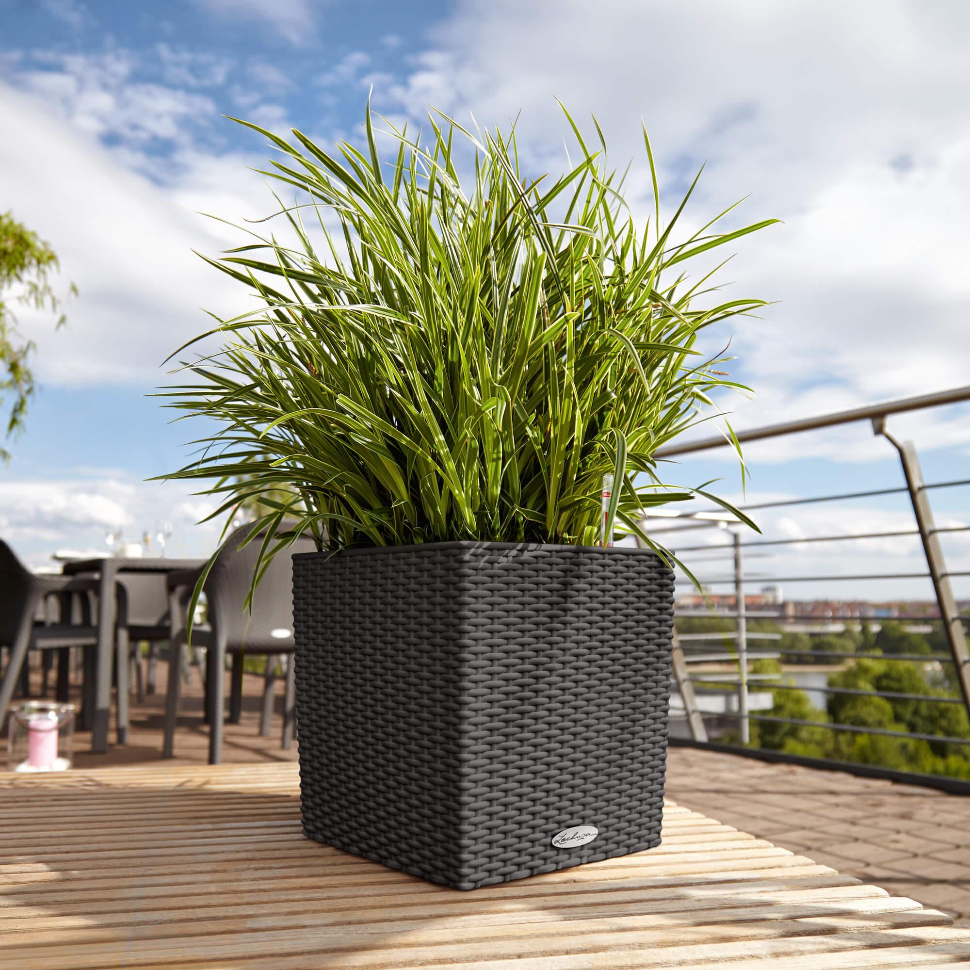 le_cube-cottage30_product_addi_01