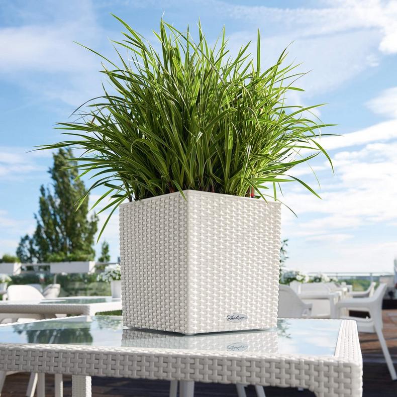 le_cube-cottage30_product_addi_03