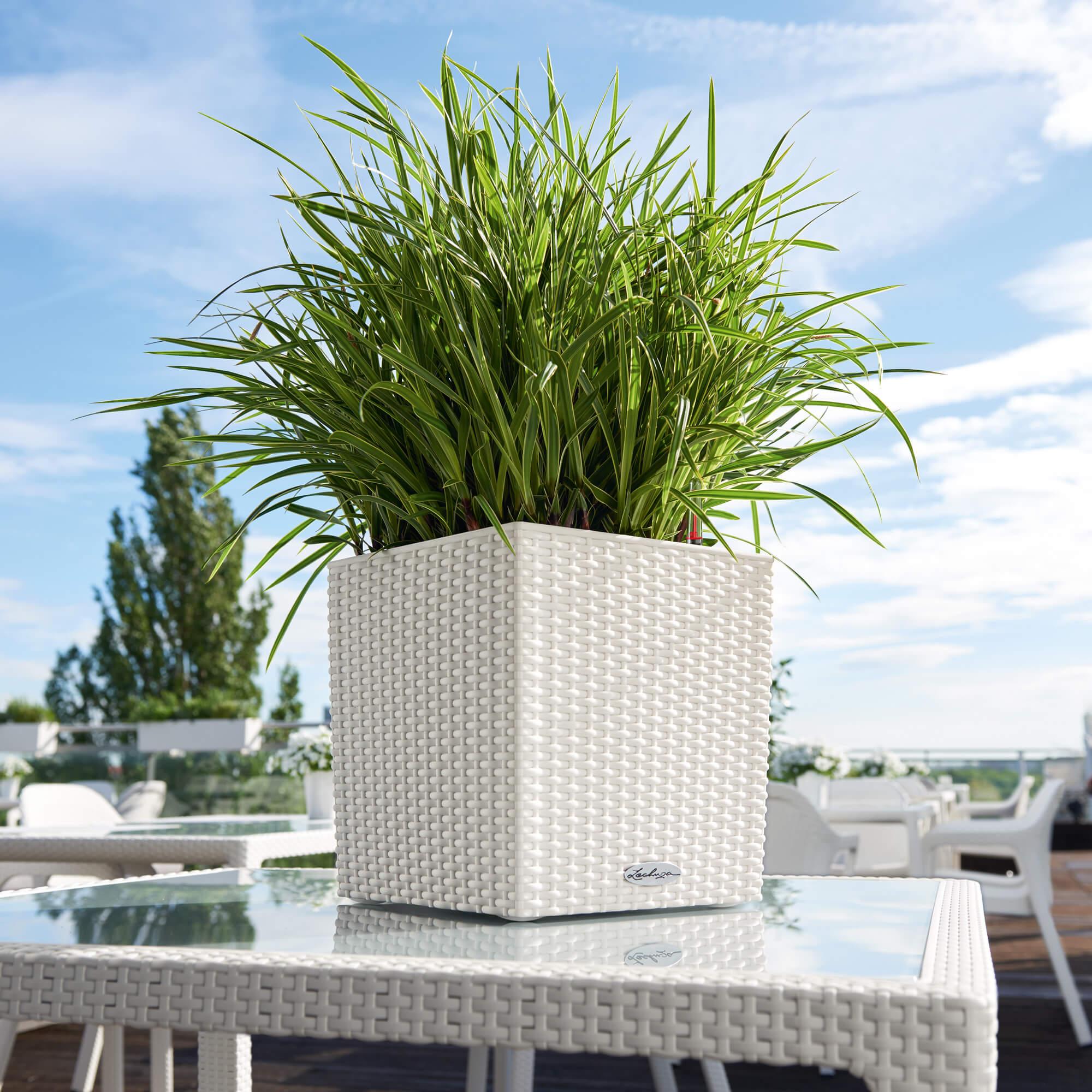 le_cube-cottage30_product_addi_03