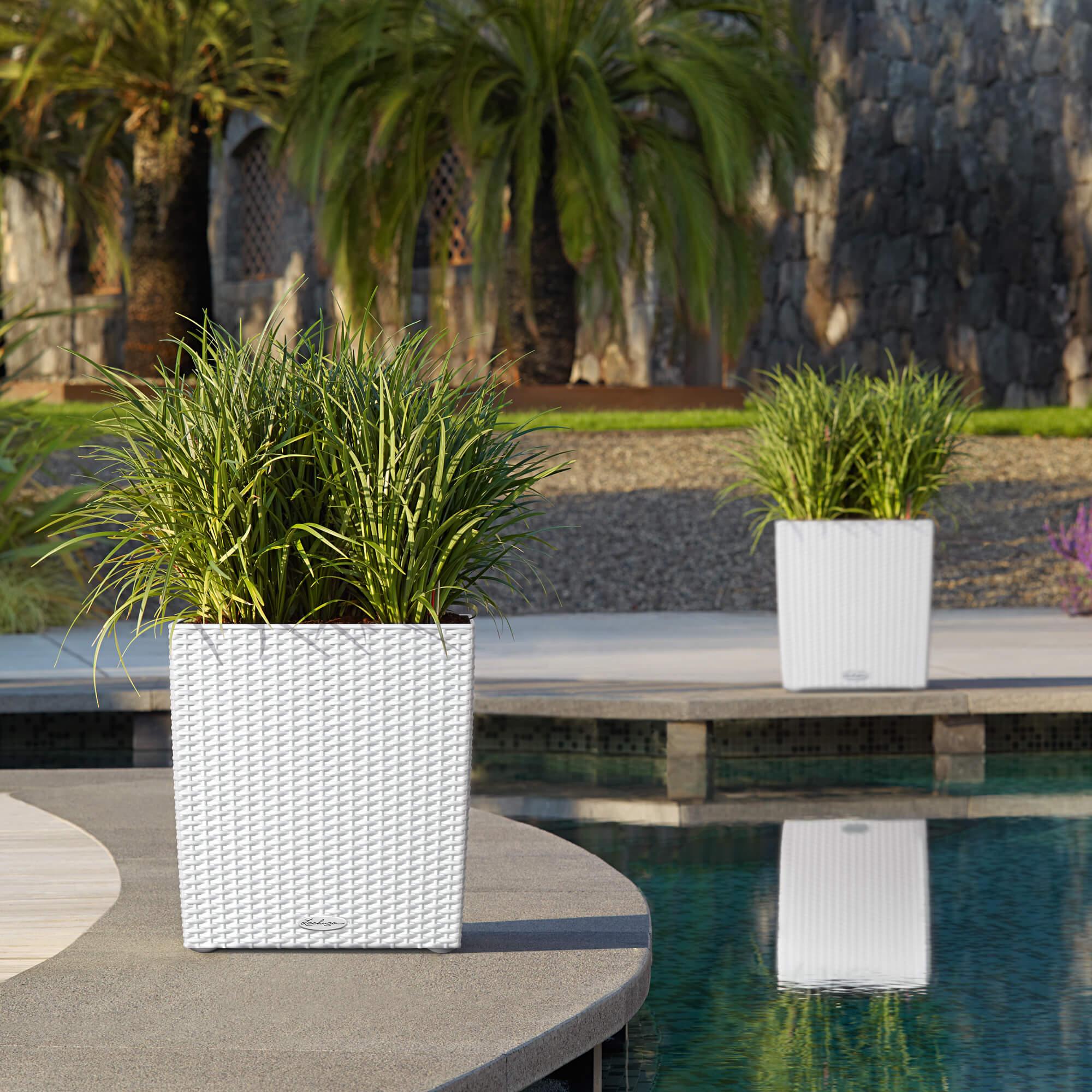 le_cube-cottage40_product_addi_01