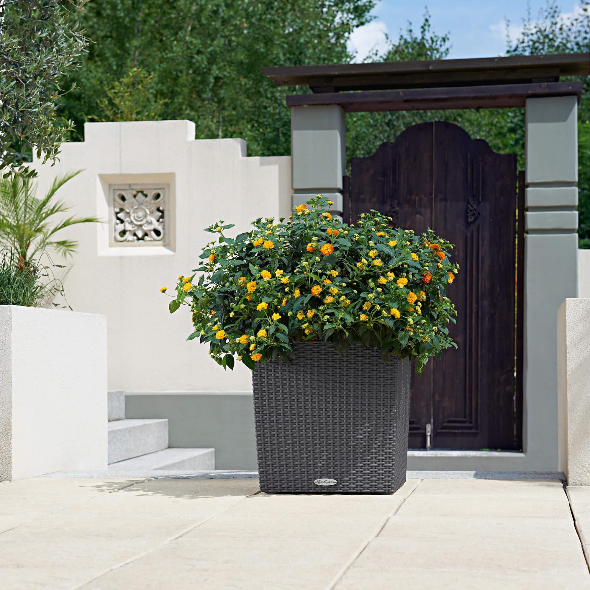 le_cube-cottage40_product_addi_02
