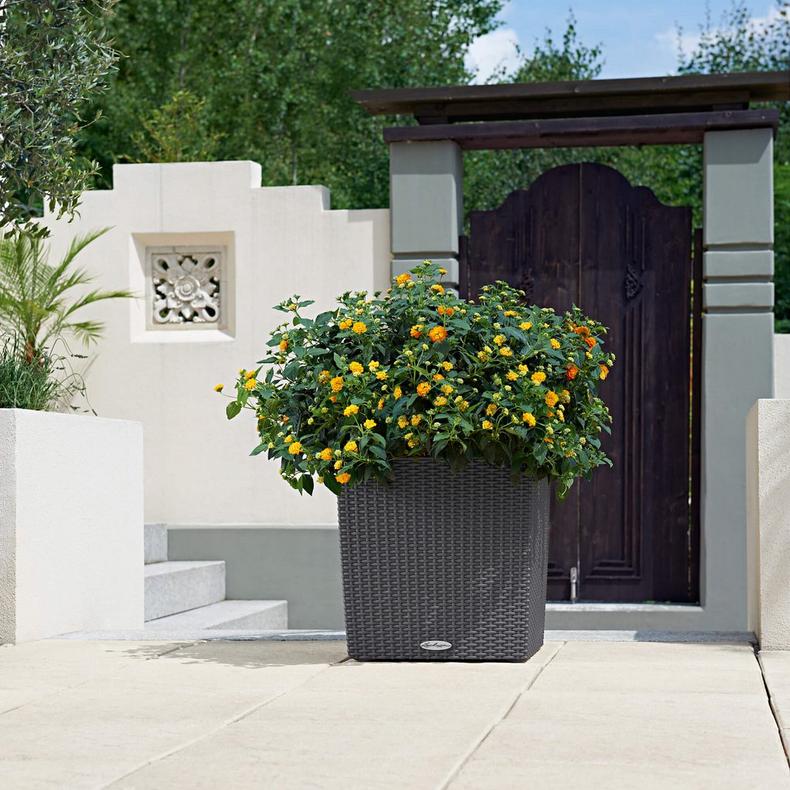 le_cube-cottage40_product_addi_02