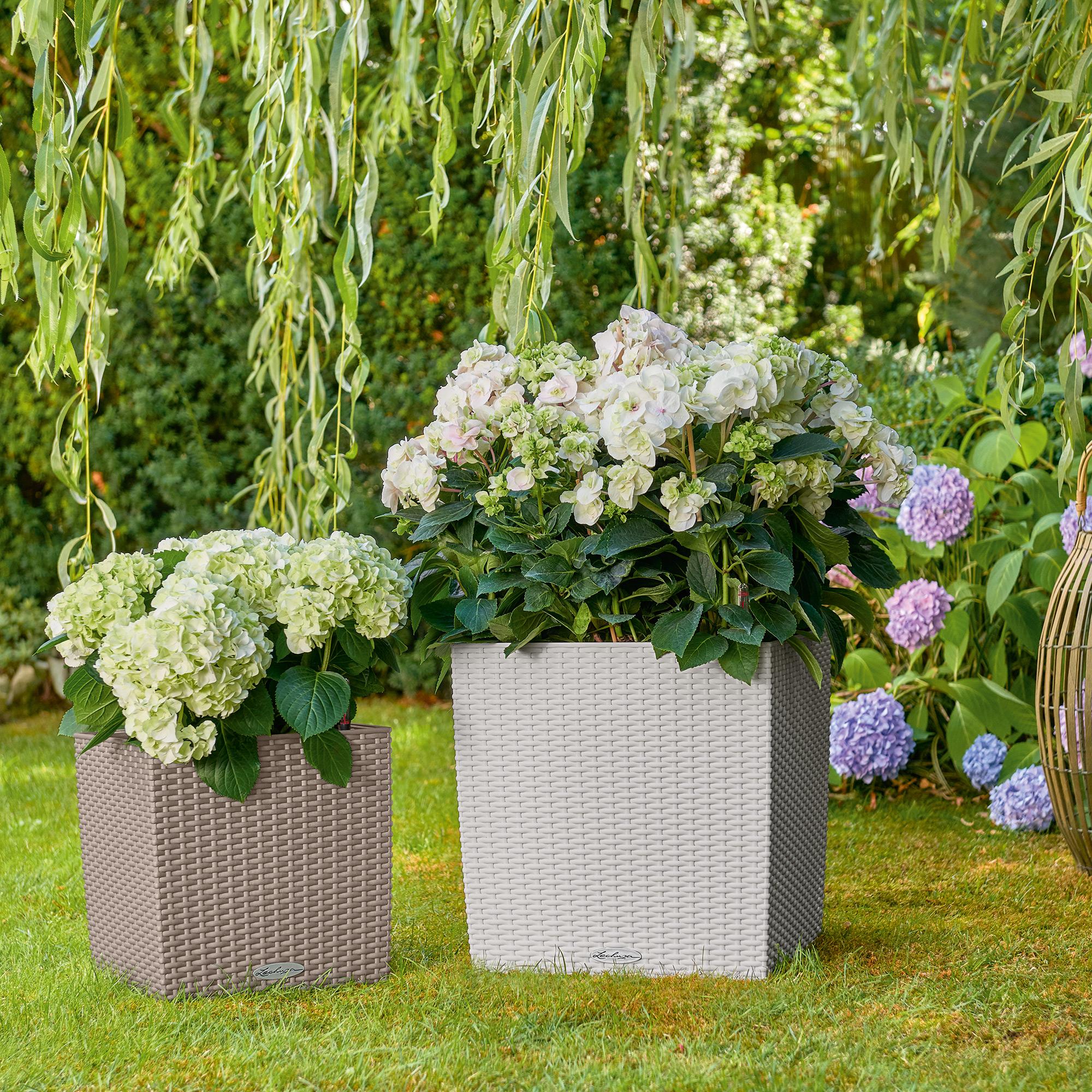 le_cube-cottage40_product_addi_04